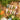 Photosynthesis 2.0 - Joyeenails