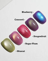 Fruit Cat Eye Press On Nails – Handmade Magnetic Velvet – 5 Colors press on nails, handmade custom nails by Joyeenails