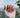 15 Coral Nail Design Ideas for 2024 - Joyeenails