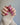 Fuchsia Cat - eye - Joyeenails - CE047 - S / Short Oval