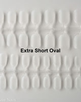 Blank Clear Nail Sizing kit - Joyeenails - NT004 - Extra Short Oval