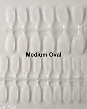 Blank Clear Nail Sizing kit - Joyeenails - NT013 - Medium Oval