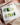 Ongles press-on Frog Dodo Short Coffin, ongles sur mesure faits main par Joyeenails