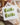 Matcha Chill - Short Square